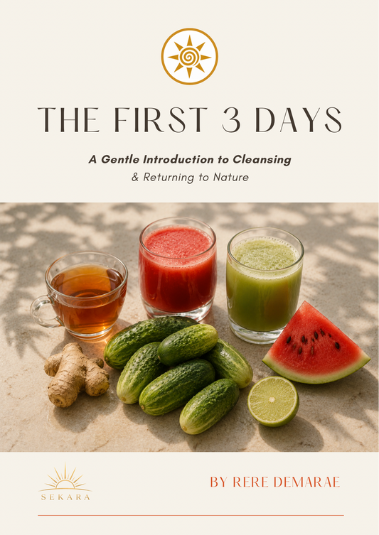THE FIRST 3 DAYS CLEANSING GUIDE